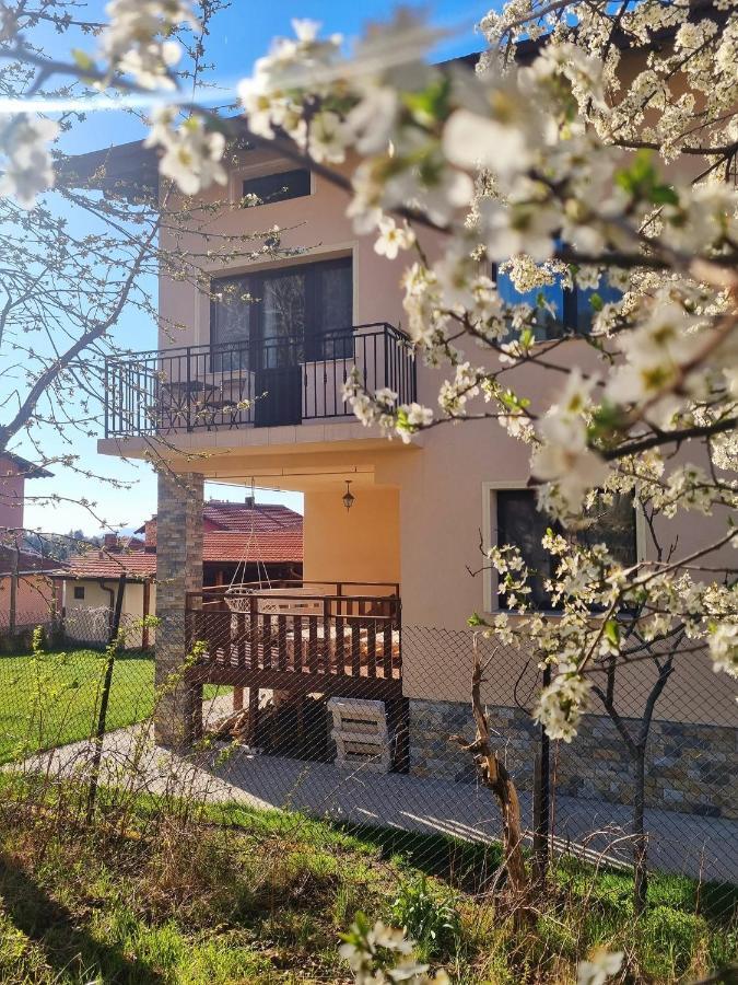 Bella Family Guest House Sapareva Banya Εξωτερικό φωτογραφία